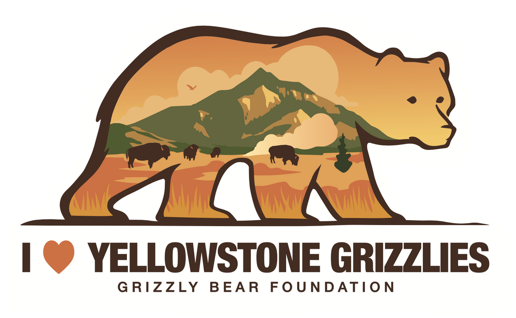 "I ♥ YELLOWSTONE GRIZZLIES" Bumper Sticker (9" x 5")