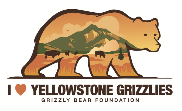 "I ♥ YELLOWSTONE GRIZZLIES" Bumper Sticker (9" x 5")