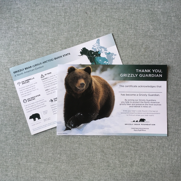 BUY NOW: 1-year Non-Consumptive Grizzly Guardianship